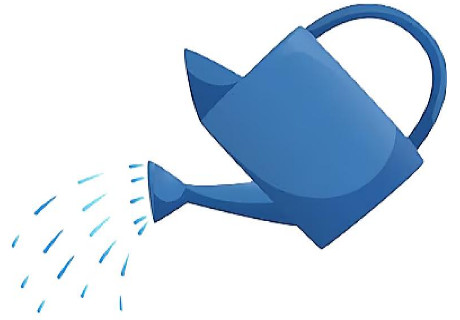 June Newsletter 2025